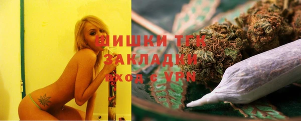 ECSTASY Яровое