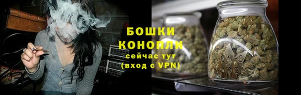 прущие грибы Яранск