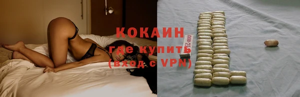 прущие грибы Яранск