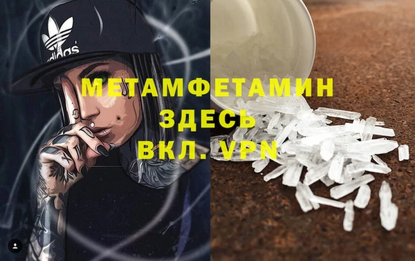 прущие грибы Яранск