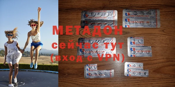 прущие грибы Яранск