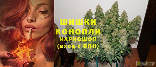 прущие грибы Яранск