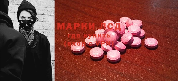 ECSTASY Яровое