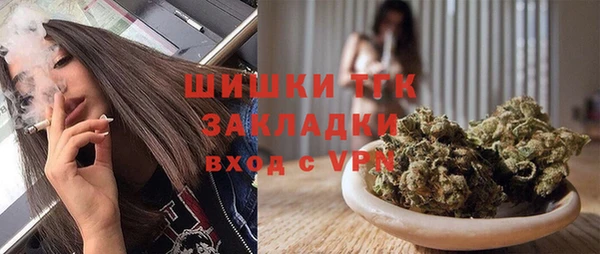прущие грибы Яранск