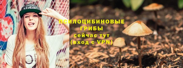прущие грибы Яранск