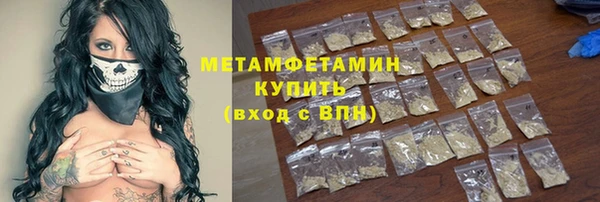 прущие грибы Яранск