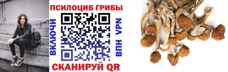 Псилоцибиновые грибы GOLDEN TEACHER  blacksprut сайт  Орехово-Зуево 